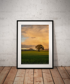 To buy a print or any of the below please click on the images